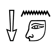 term image