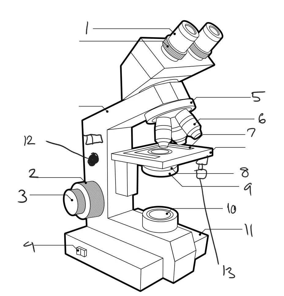 <p>Label diagram</p>