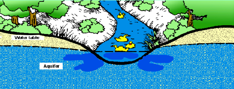 <p>Water from groundwater seeping into streambed</p>