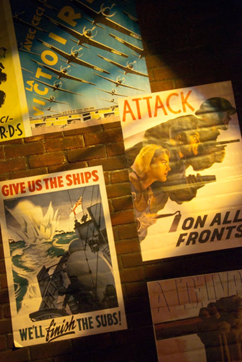 <p>information that is spread for the purpose of promoting some cause or ideas (e.g., posters, pamphlets, newspapers)</p>