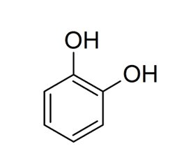 <p>-subclass of biogenic amine</p><p>-has single ring catechol + R group</p><p><u>epinephrine</u></p><p><u>norepinephrine</u></p><p><u>dopamine</u></p>