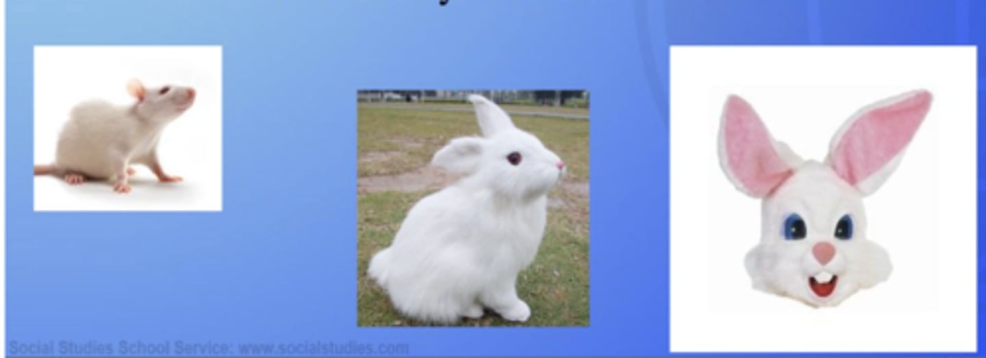 <p>(1) in classical conditioning, the learned ability to distinguish between a conditioned stimulus and other stimuli that have not been associated with a conditioned stimulus. (In operant conditioning, the ability to distinguish responses that are reinforced from similar responses that are not reinforced.) (2) in social psychology, unjustifiable negative behavior toward a group or its members.</p>