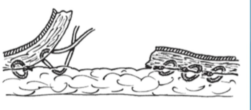 <p>What is shown here?</p>