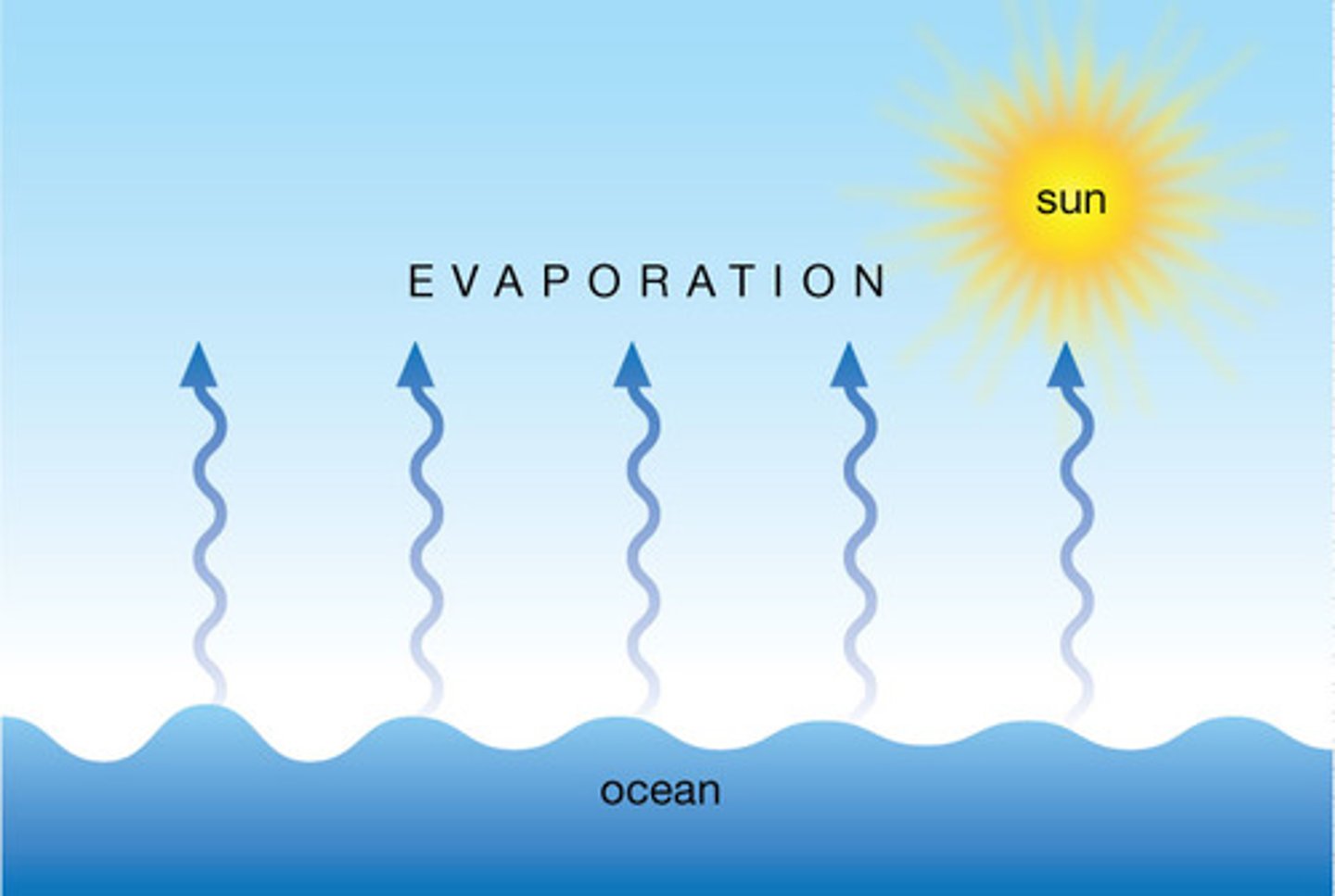 <p>The gradual vaporization of a liquid on the surface.</p>