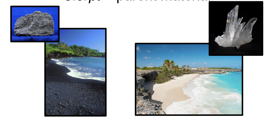 <p>what is <strong>parent material in soil formation?</strong></p>