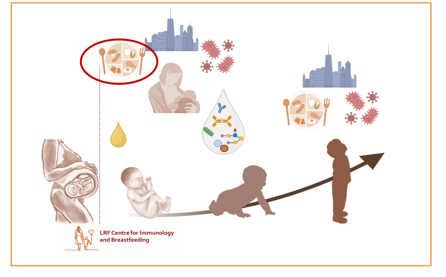 <p>DIAGRAM ON SLIDE 30</p>