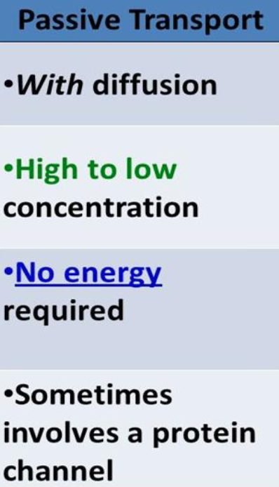 <p>does not require cell energy, high to low concentration, diffusion</p>