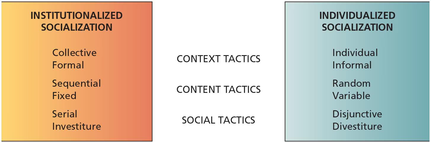 <p>The manner in which organizations structure the early work experiences of newcomers and employees who are in transition from one role to another </p>