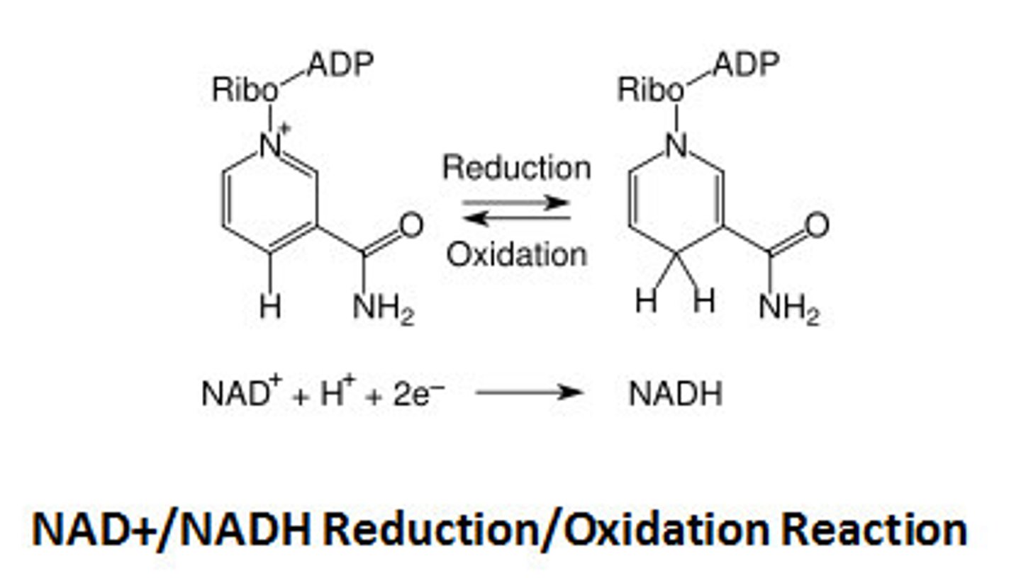 <p>Oxidation -&gt; Loss of electron (LEO says ger)</p>