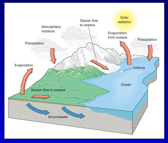 <ul><li><p><strong>Solar radiation </strong>powers the cycle.</p><ul><li><p><strong>Evaporation</strong>: Water from land and ocean turns into vapour.</p></li><li><p><strong>Atmospheric moisture</strong>: Water vapour forms clouds.</p></li><li><p><strong>Precipitation</strong>: Water returns to Earth as rain or snow.</p></li><li><p><strong>Glacier flow</strong>: Ice flows downhill into oceans.</p></li><li><p><strong>Icebergs</strong> melt and release water into oceans.</p></li><li><p><strong>Stream flow</strong>: Water flows from land to oceans.</p></li><li><p><strong>Groundwater</strong>: Water moves underground and eventually reaches oceans.</p></li></ul></li><li><p><strong>The cycle is continuous</strong>, moving water through <strong>land, atmosphere, and oceans</strong>.</p></li></ul><p></p>