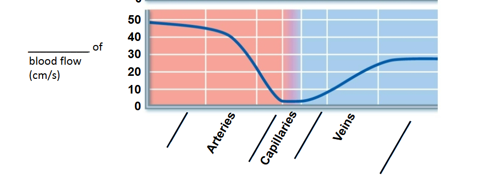 <p>what is the order of the bottom structures </p>