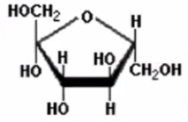 <p>What is this molecule?</p>
