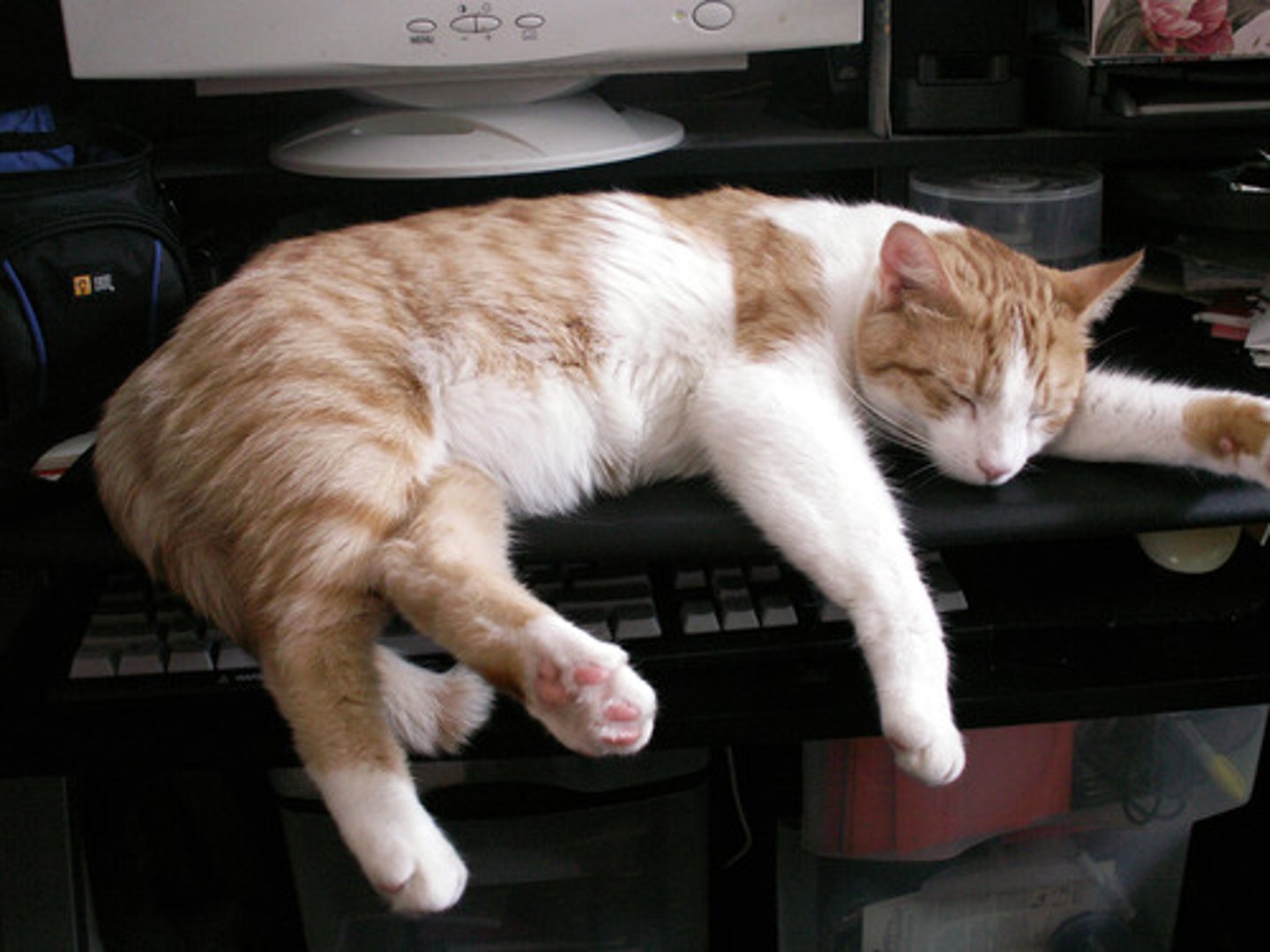 <p>(adj) thông thường</p>