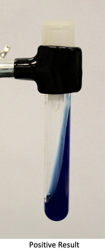 <p>Classification: medium</p><p>Ingredients: citrate </p><p>Lab Usage: citrate is used as a carbon and nitrogen source</p><p>Results: test tube will turn blue if positive</p>