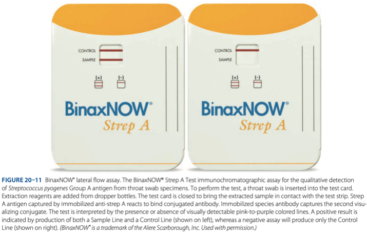 <p>Lateral Flow Immunochromatographic Assays(LFA)</p><p></p>