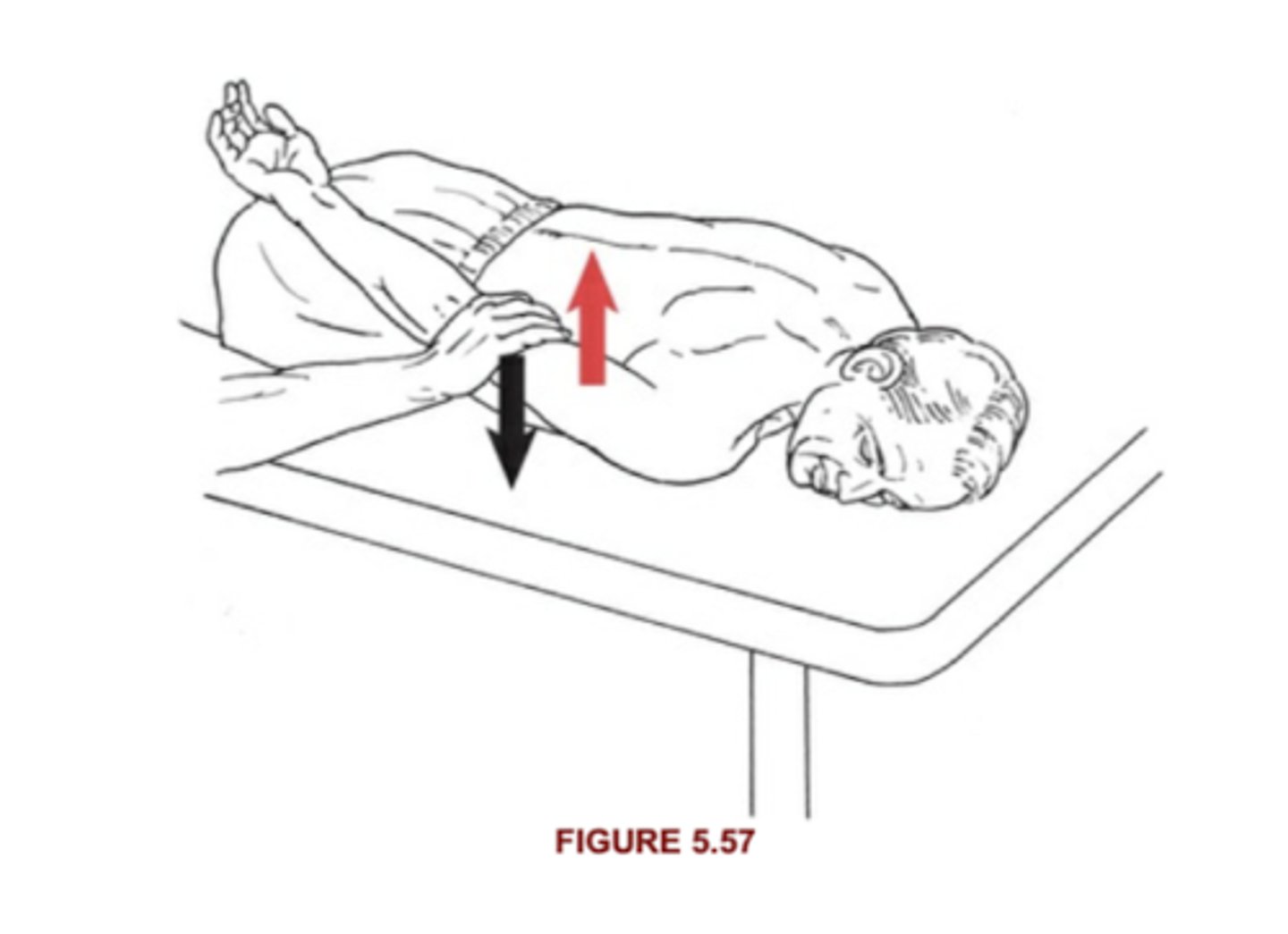 <p>5: Holds position against max resistance</p><p>4: Holds against strong resistance</p>