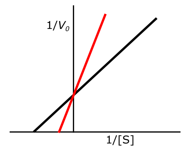 <p>Competitive inhibition</p>