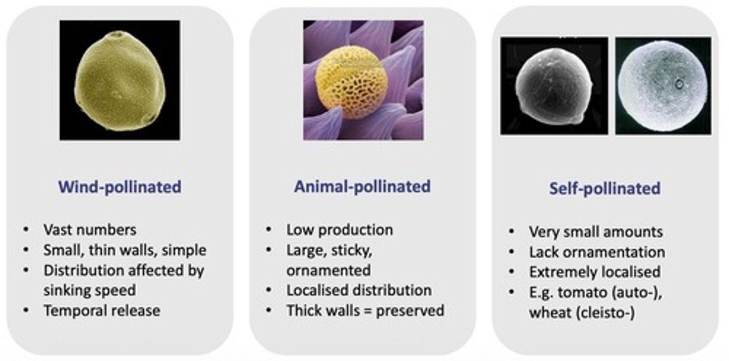 <p>Wind-pollinated (anemophilous), animal-pollinated (zoogamous), and self-pollinated (autogamous).</p>