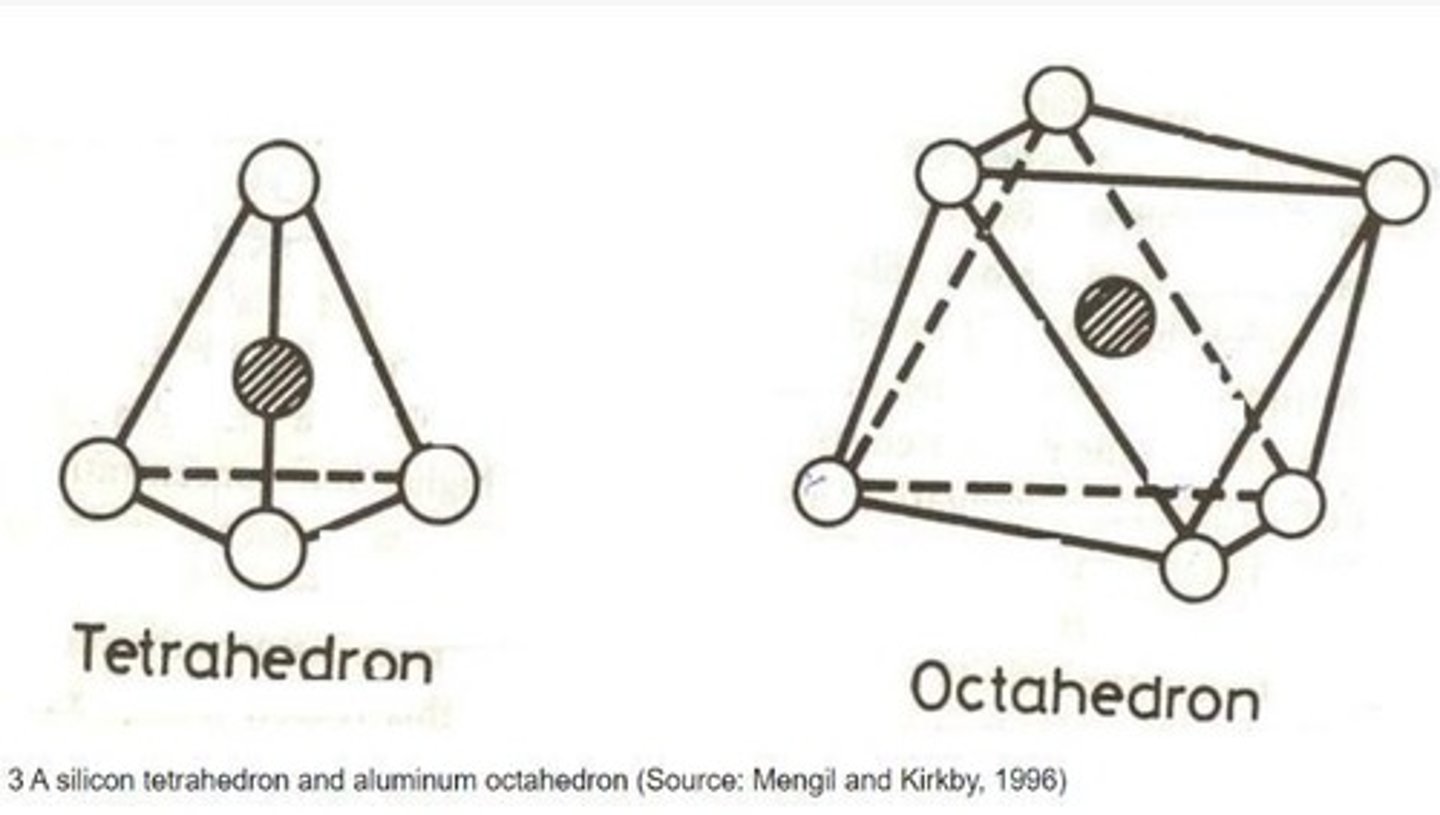 <p>Silica-tetrahedra and alumina-octahedra.</p>