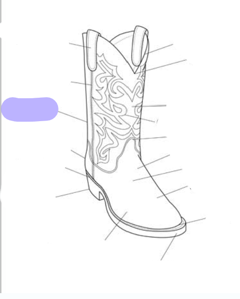 <p>What part of the boot is this? (labeled in purple)</p>