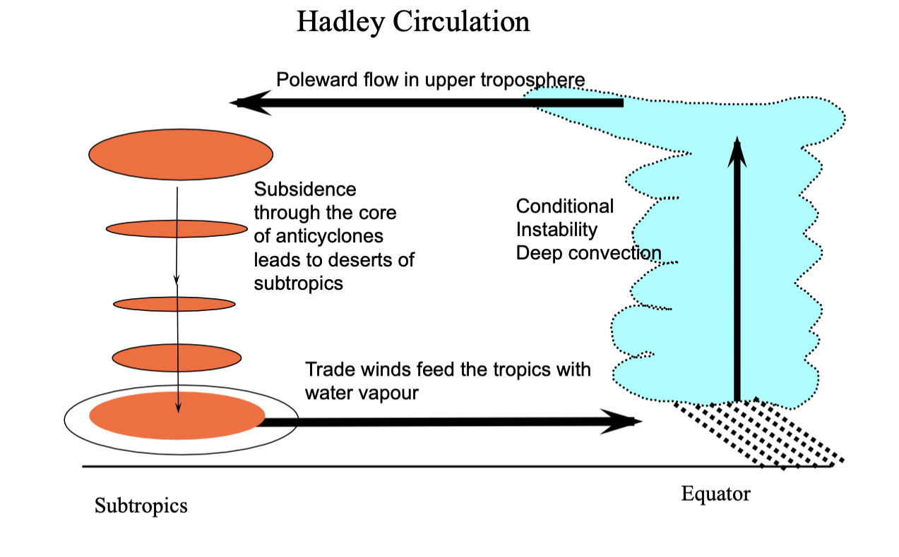 <p>Explanation: </p><ul><li><p>top of atmosphere - stable lid </p></li><li><p>stratosphere - temperatures increase with height </p></li><li><p>air flowing out of thunderstorms meet stratosphere - get field of clouds as they spread out </p></li><li><p>air goes poleward - until it gets affected by Coriolis effect </p></li><li><p>after this is subsides through the depth of the atmosphere </p></li><li><p>sinking air creates subtropical anticyclones </p></li></ul><p></p>