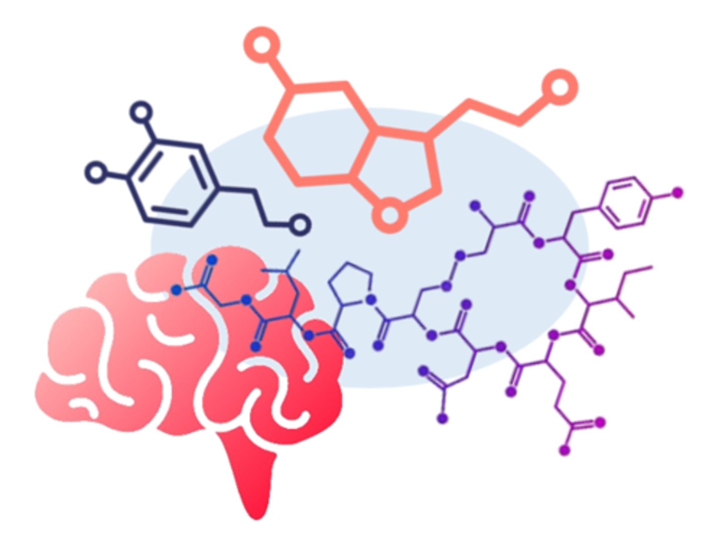 <p>chemical messengers that travel through the blood &amp; act on target organs</p>