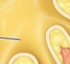 <p>what is this?</p>