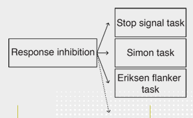 <p>Maar er zijn geen standaardregels voor operationalisatie in psycho(bio)logie</p><p>Hoe weet je of twee taken hetzelfde meten? </p><p>Inconsistentie in labels, maar ook inconsistentie in taken </p><p>Oplossing: interpretivisme/conceptuele review </p><p>Analyse van methodologische keuzes + (bewustzijn van) conceptuele implicaties van die keuze</p>