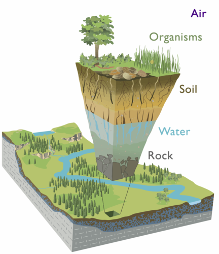 heterogeneous, near surface environment in which complex interactions involving rock, soil, water, air, and living organisms regulate the natural habitat and determine the availability of life-sustaining resources