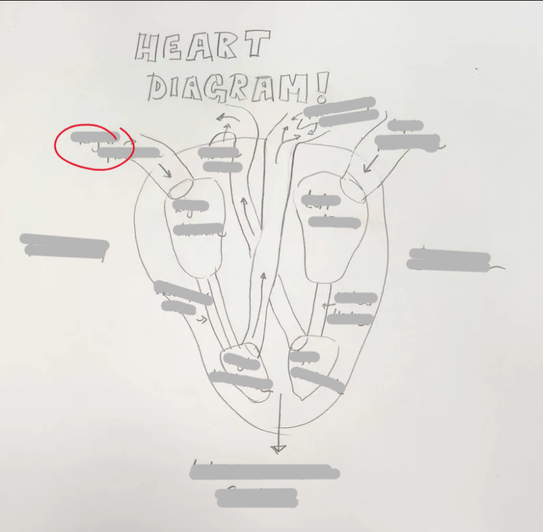 <p>What Structure is this? </p>