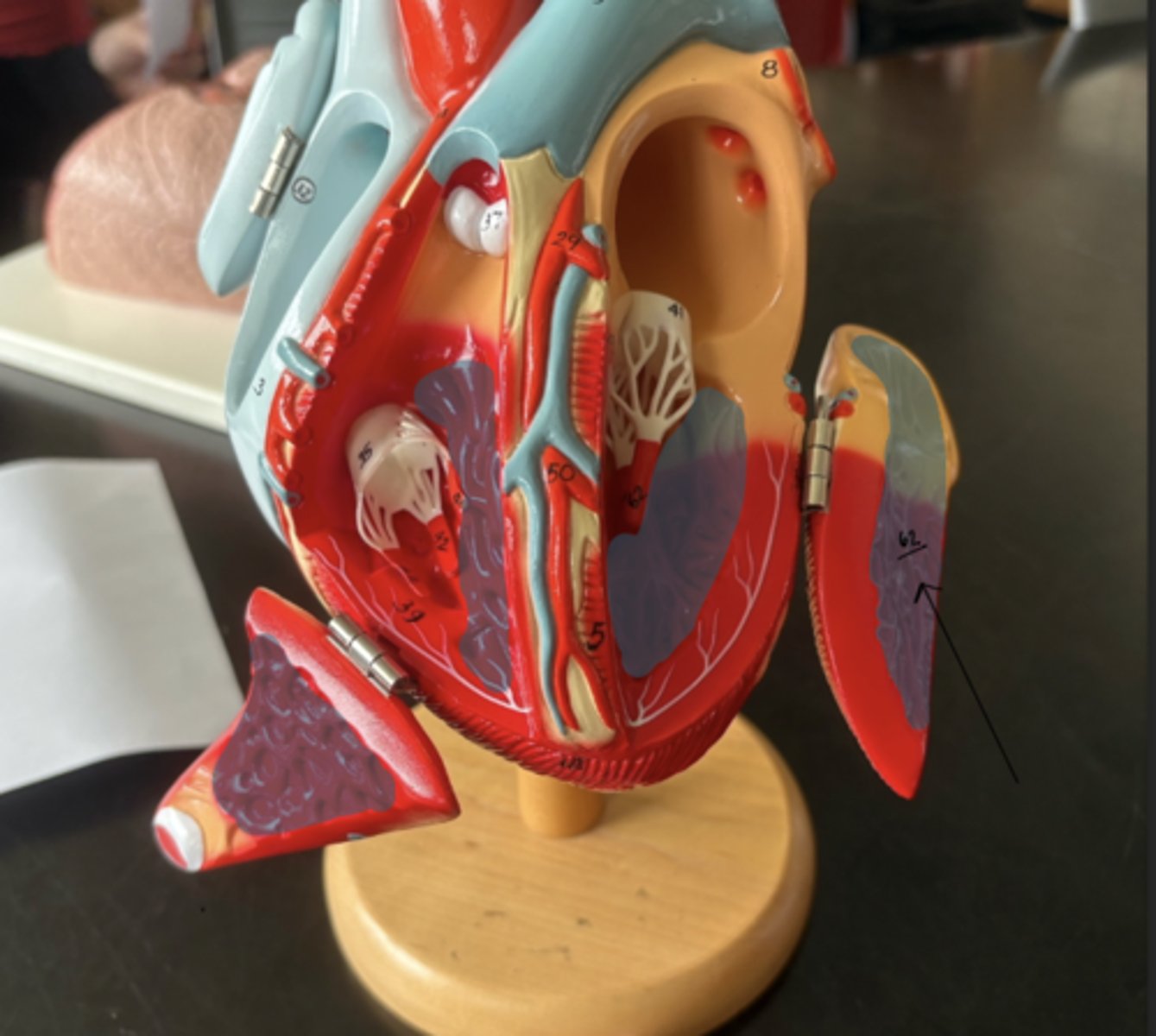 knowt flashcard image