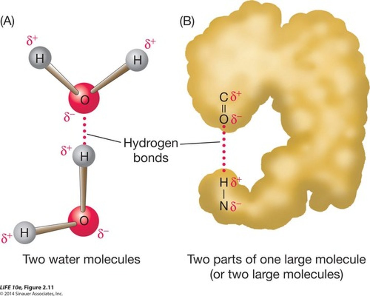 <p>Weak bond between polar molecules due to charge.</p>