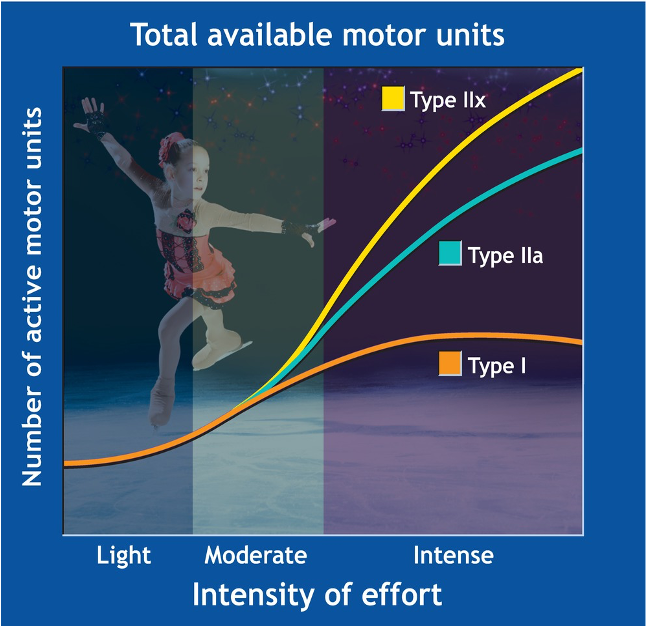 <p>What principle is being demonstrated with this figure?</p>