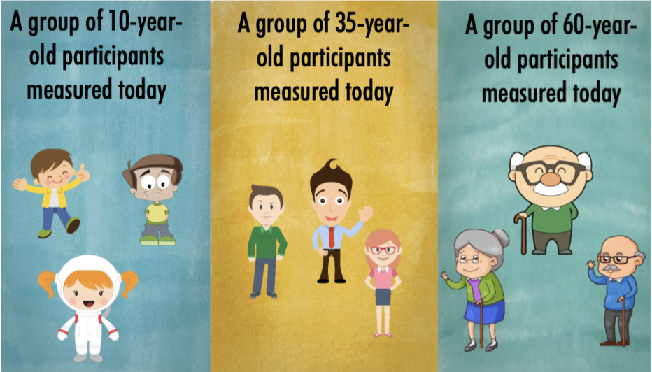 <p>A <strong>BSD</strong> that measures <strong>separate</strong> groups of individuals of different ages</p>