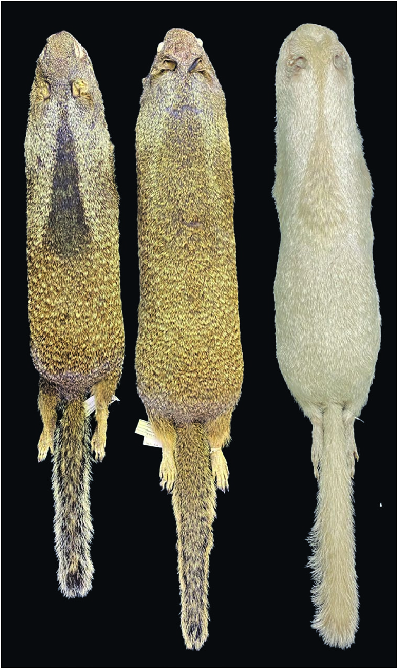 <p>What species?</p>