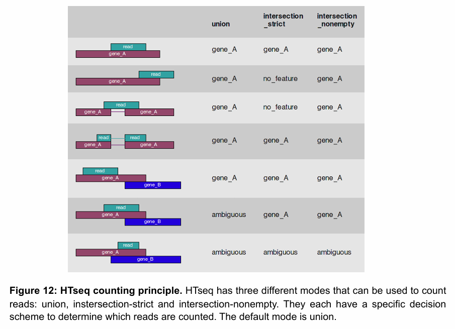 <p>It applies different rules for ambiguous reads (those that overlap more than one gene or don’t fall entirely within a feature):</p><ul><li><p><strong>Union (default)</strong>: A read is counted for a gene if it overlaps <strong>any</strong> part of a gene’s exons and doesn't overlap another gene.</p></li><li><p><strong>Intersection-strict</strong>: A read is only counted if it falls <strong>entirely within</strong> a feature.</p></li><li><p><strong>Intersection-nonempty</strong>: A read is counted if <strong>some</strong> part of it overlaps a feature, even if it overlaps more than one.</p></li></ul><p>This is a naïve way of counting which does not deal with isoforms very well.</p><p></p>