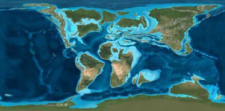 <ul><li><p>early Cretaceous, <strong>Pangaea continued to brake up into modern continents of North America, Europe, and Asia</strong></p></li><li><p>Gondwana followed, forming South America, Africa, Australia, and Antarctica</p><ul><li><p>Not in modern positions yet though</p></li></ul></li><li><p>Broad shallow seas across North America and Europe</p></li><li><p><strong>at first, cooling climate</strong> (from Jurassic)</p><ul><li><p>very wet</p></li><li><p>evidence of snow</p></li></ul></li><li><p>after first 6my, temps increased again and remained <strong>warm for rest of period</strong></p><ul><li><p>Warming may have been due to volcanic activity which produced large amounts of CO2</p></li><li><p>sea levels were high</p></li></ul></li><li><p><strong><u>Flowering Plants (Angiosperms) evolved!</u></strong></p><ul><li><p>Aided by the appearance of bees – coevolution</p></li></ul></li><li><p>Many leafy trees appeared and gymnosperms continued to thrive</p></li><li><p>rise of mammals — Mammals were still very small but abundant</p></li><li><p>Marsupials and placental mammals evolved about 115 mya</p></li><li><p>oceans were filled with large, toothy, fast organisms</p><ul><li><p>ichthyosaurs were probably outcompeted by plesiosaurs and went extinct by mid cretaceous</p></li><li><p>mosasaurs evolved from aquatic lizards in late Cretaceous; quickly diversified</p></li><li><p>sea turtles evolved during cretaceous, resembled modern sea turtles</p></li></ul></li><li><p>rise of birds — by early cretaceous, there were many birds</p></li></ul><p></p>