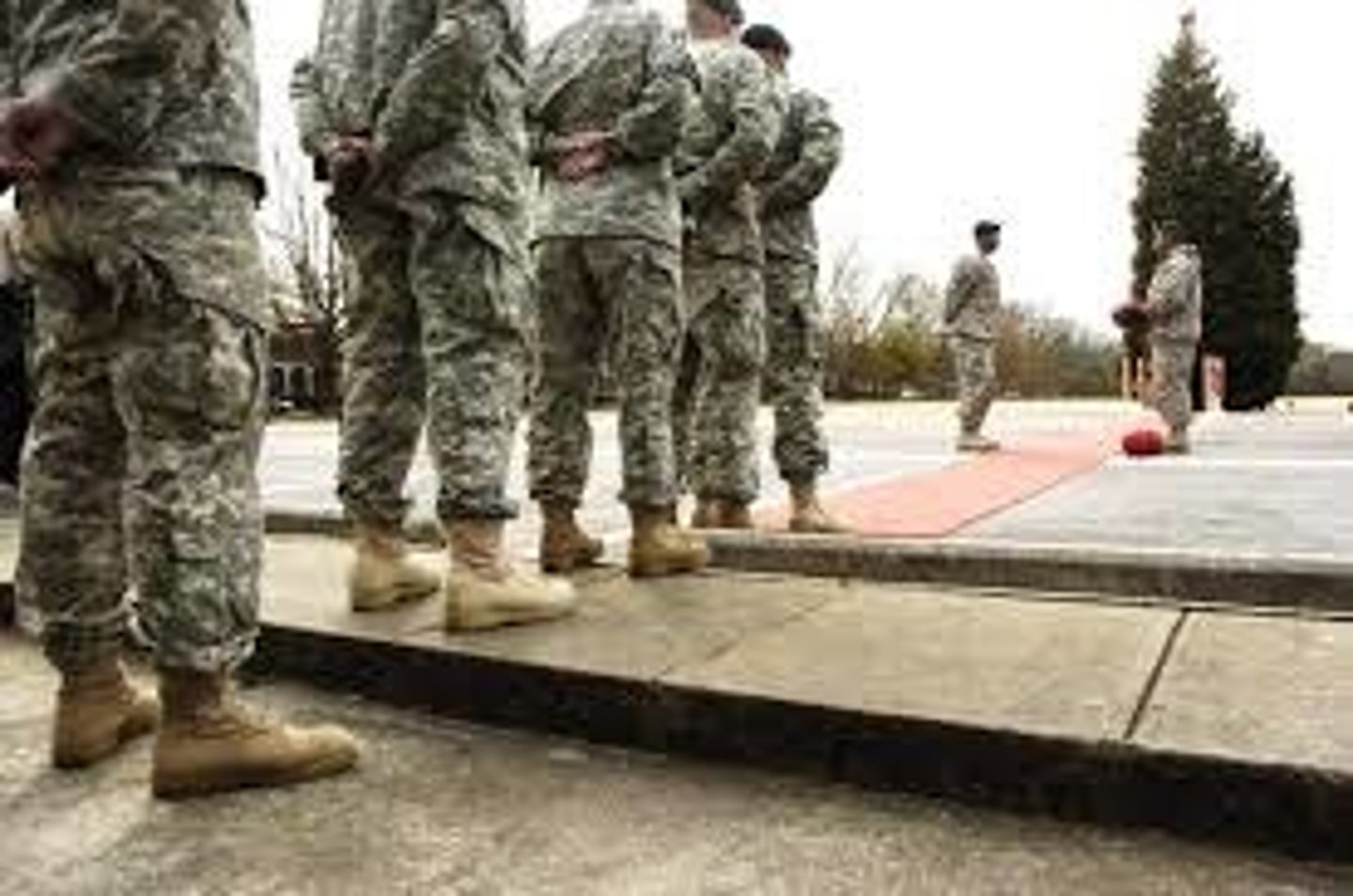 <p>The act or practice of yielding to another's authority</p>