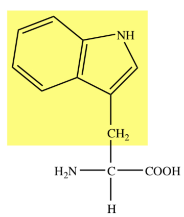 INDOLE RING
