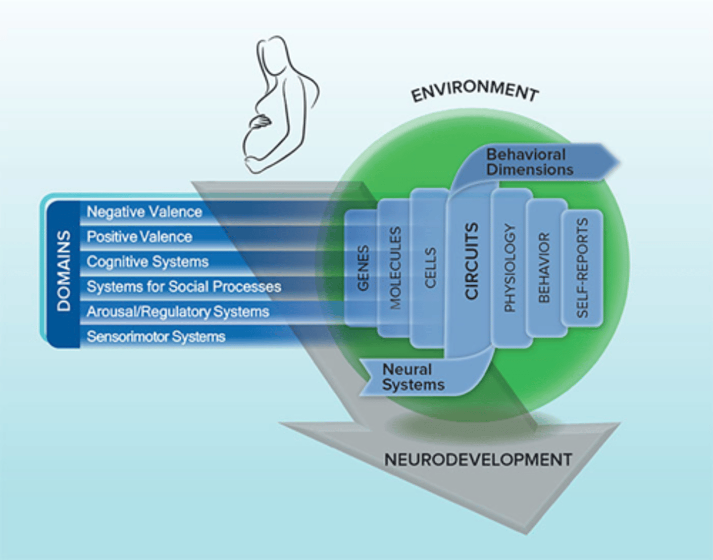 <p>Psychopathology research moving toward transdiagnostic domains of functioning that have a clear neurobiological/cognitive basis (bottom up)</p>