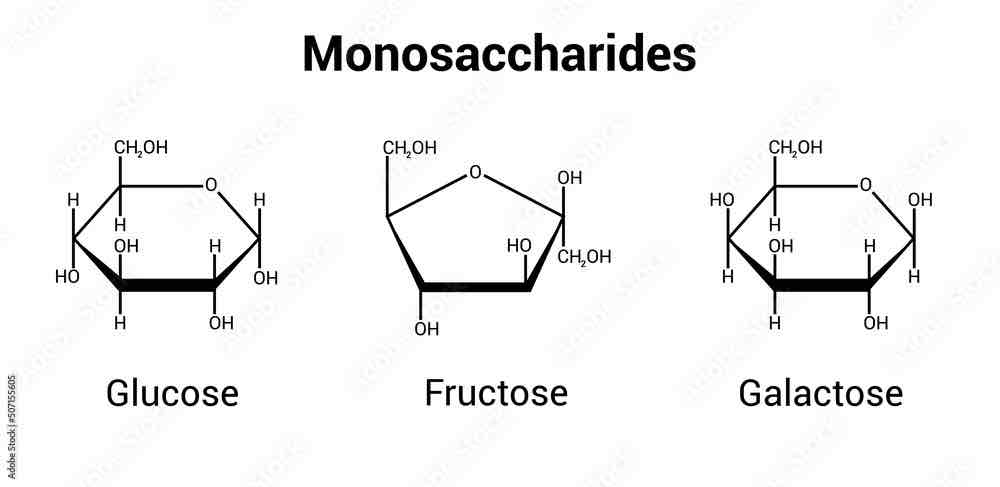 <p>Glucose, fructose and galactose </p>