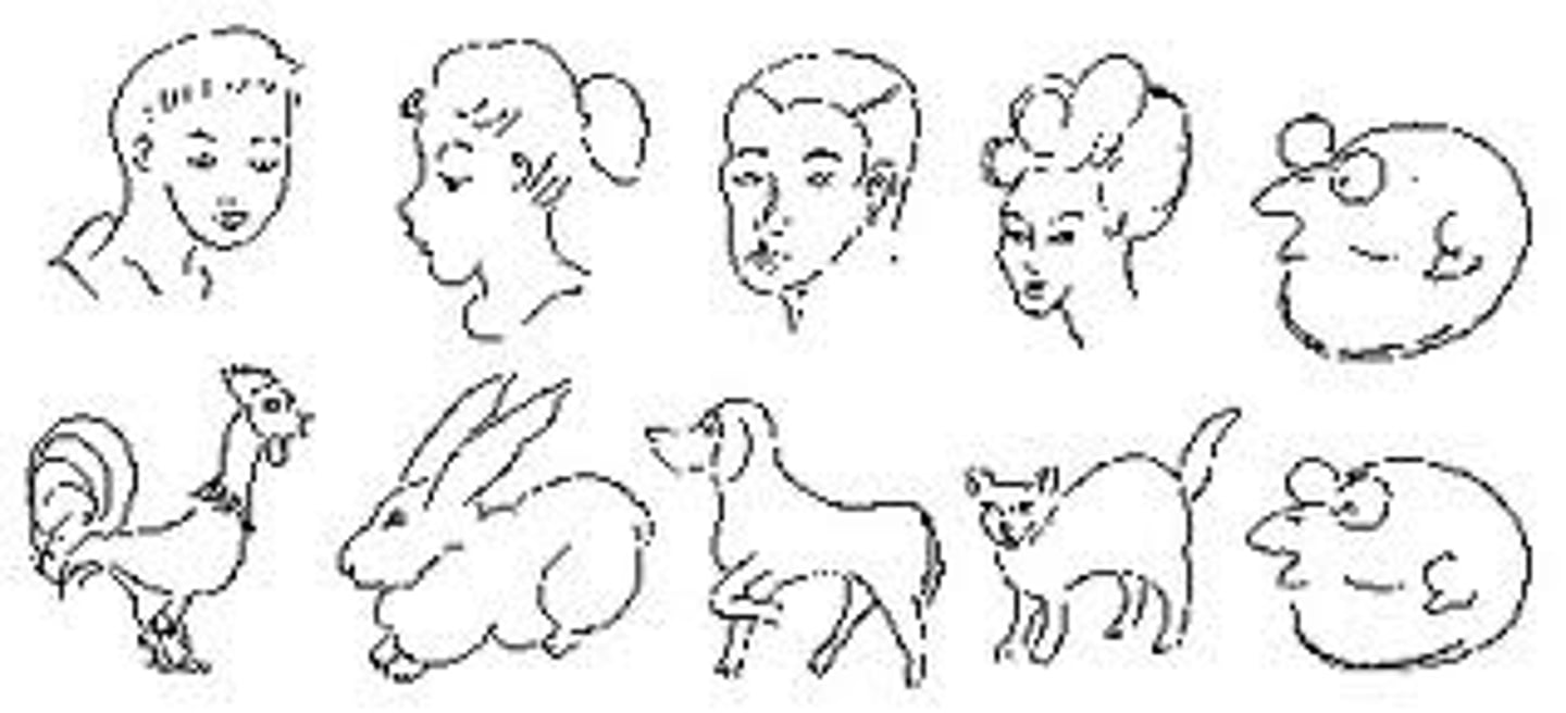 <p>A given stimulus may trigger radically different perceptions, partly because of our differing perceptual set or perceptual expectancy, but also because of the immediate context. Culture or previous experiences can influence how we perceive our situations. (Top-down processing)</p>