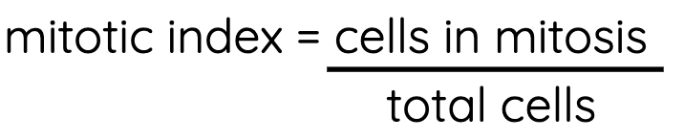 <p>ratio of cells undergoing mitosis to cells not undergoing mitosis in a population of cells. If it is higher than normal, it could be an indicator of cancer</p>
