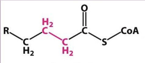<p>What is this Structure?</p>