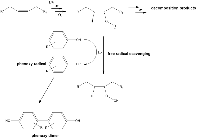 <p>phenols are antioxidants, the phenoxy radical preferentially tends to dimerise and therefore terminate what? </p><img src="https://knowt-user-attachments.s3.amazonaws.com/8f1142db-3f80-4969-9685-c5a7beb8ee57.png" data-width="100%" data-align="center" alt="knowt flashcard image"><p></p>