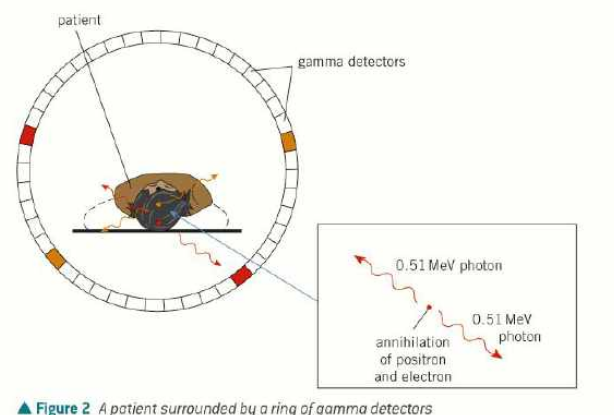 <ul><li><p>tracer injected into patient</p></li><li><p>the patient lies on a table inside a ring of gamma detectors</p></li><li><p>the tracer decays and emits beta plus positrons</p></li><li><p>inside the patient, each positron collides with and annihilates a nearby electron</p></li><li><p>this causes two gamma photons to be emitted in opposite directions to conserve momentum</p></li><li><p>detectors on opposite sides of the ring detect the gamma photons</p></li><li><p>the computer identifies the precise point of the origin of decay by calculating the time difference between the detections of the 2 gamma photons</p></li><li><p>repeated many times to make 2D slices</p></li><li><p>software is used to construct a 3D image of the tracer’s location</p></li><li><p>tracer density can be determined from rate of gamma photons emitted in each region</p></li></ul><p></p>