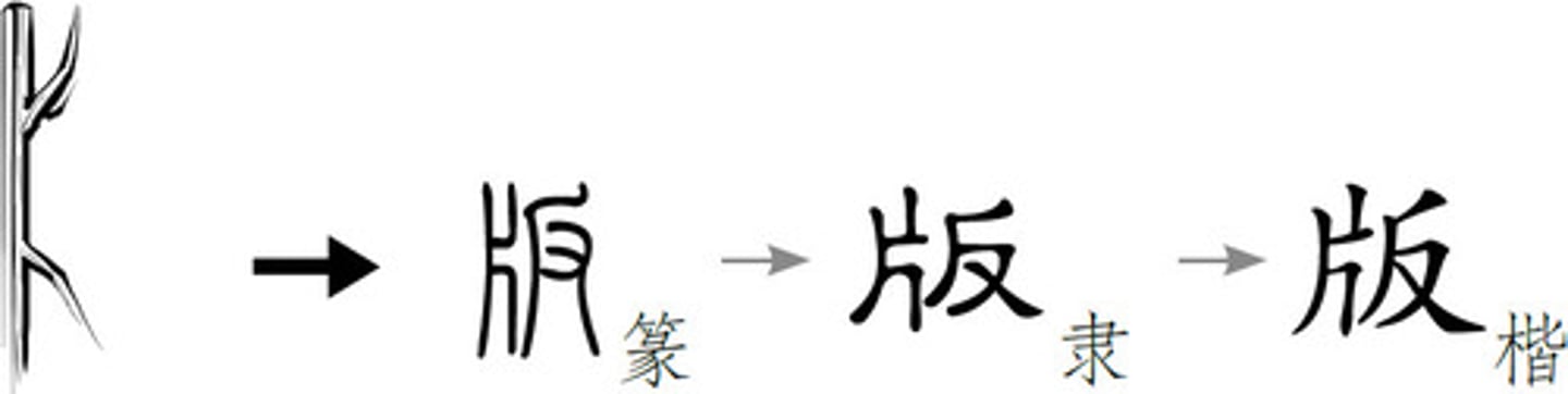 <p>n.[C]版本</p>