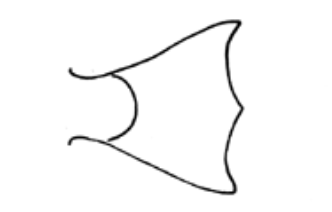 <p>What fin shape is this?</p>