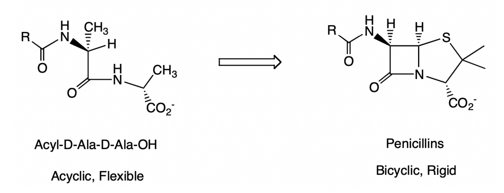 <p>1) Can increase affinity to target receptor or enzyme by reducing entropy loss upon binding. Atoms in the ring have already been fixed before binding to protein. </p><p>2) Can increase specificity because rigid molecule cannot access alternative bioactive conformations via bond rotations</p>