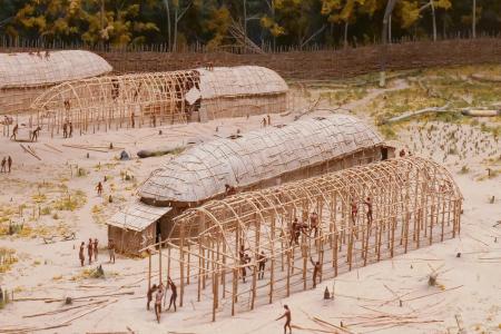 <p>Longhouses</p>